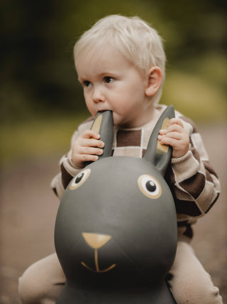 Hopping animal - rabbit