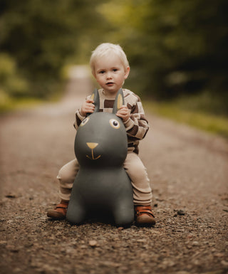 Hopping animal - rabbit