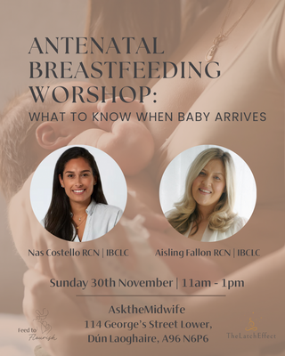 Antenatal Breastfeeding Workshop
